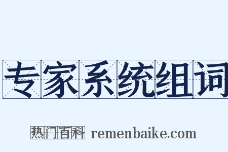 专家系统组词是什么意思的图片